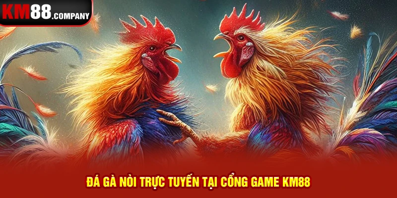 Đá gà nòi trực tuyến tại cổng game Km88