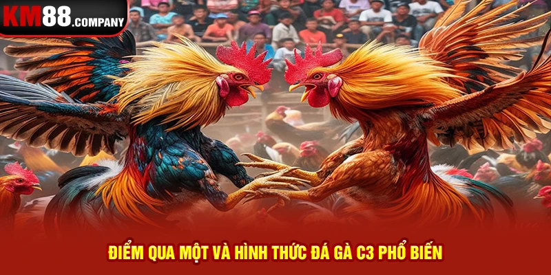 Điểm qua một và hình thức đá gà c3 phổ biến 