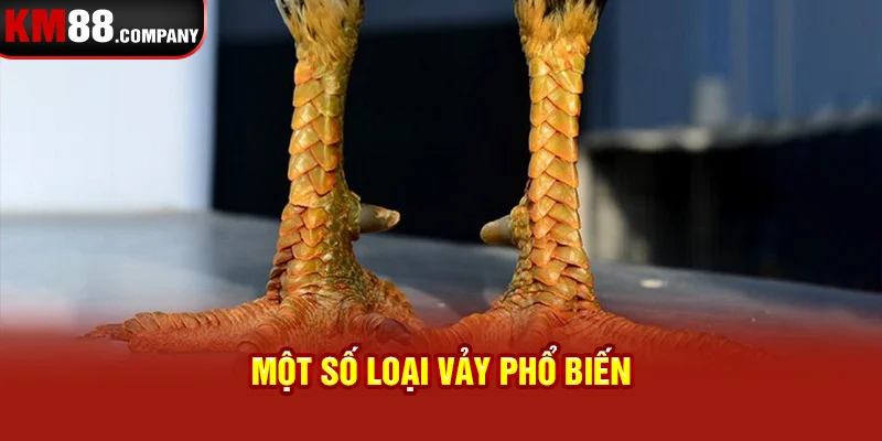 Một số loại vảy phổ biến 