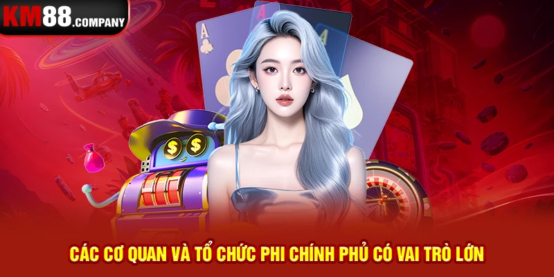 Các cơ quan và tổ chức phi chính phủ có vai trò lớn 