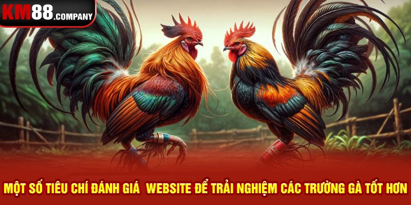 Một số tiêu chí đánh giá  website để trải nghiệm các trường gà tốt hơn 